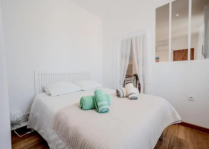 Le Picaflor Clim Wifi Hyper Centre 아파트 *