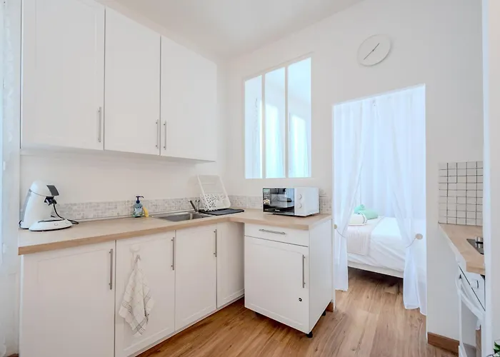 Le Picaflor Clim Wifi Hyper Centre 아파트